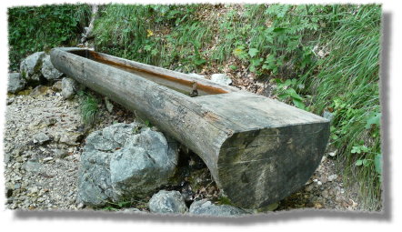Abstieg_Scheibenkaseralm Abstieg_Scheibenkaseralm