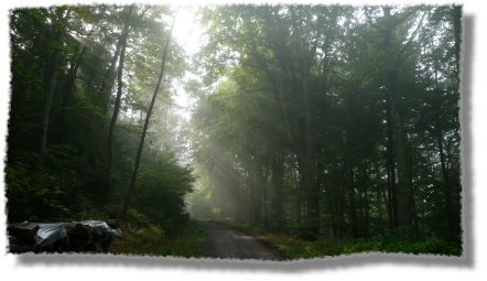 Herbst_im_Odenwald_08_01