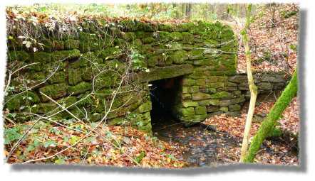 Herbst_im_Odenwald_08_07