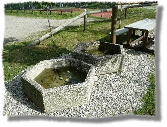 P1000376