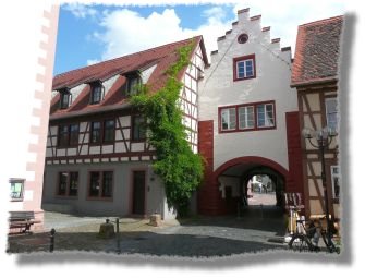 Sommer_im_Odenwald_08_05