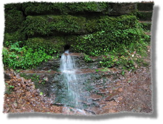 Wolfsschlucht_06 065
